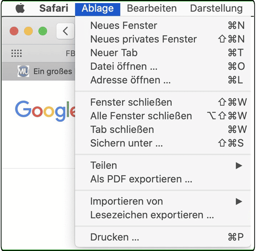 Safari